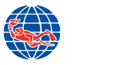 gallery/logo padi en blanco