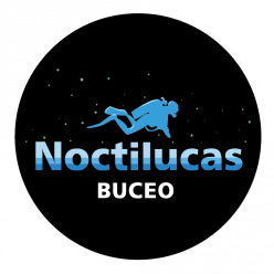 gallery/logo